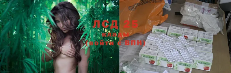 LSD-25 экстази кислота  Николаевск-на-Амуре 